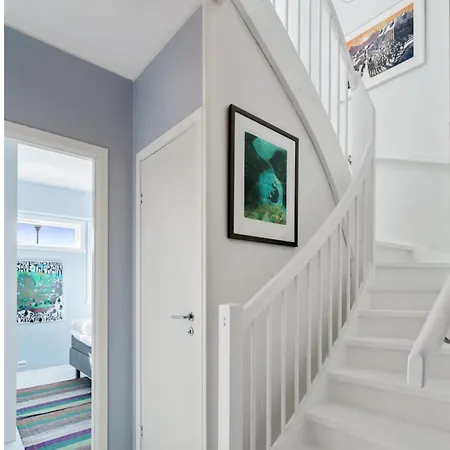 Arctic With Northern Light View *