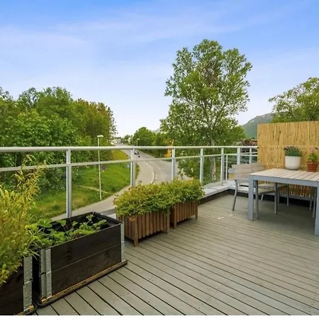 Arctic With Northern Light View