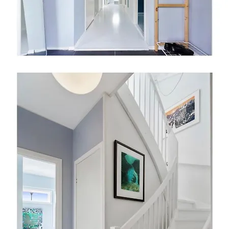 Arctic With Northern Light Viewpoint Homestay *
