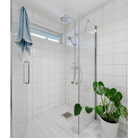 Arctic With Northern Light View Tromsø