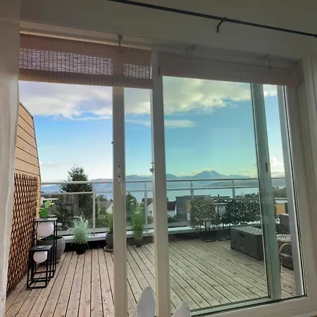 Arctic With Northern Light View *