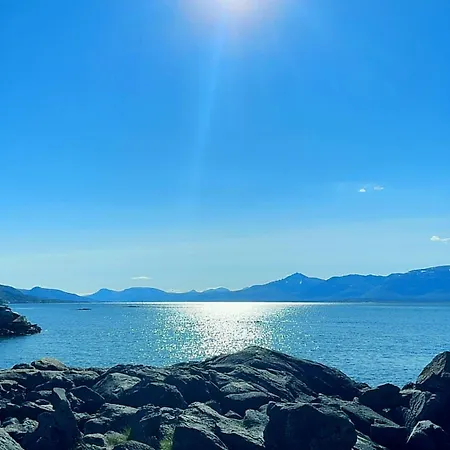 Arctic With Northern Light View Tromsø