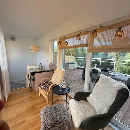 Arctic With Northern Light View