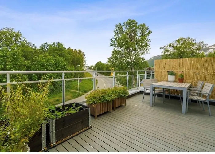 Arctic With Northern Light View