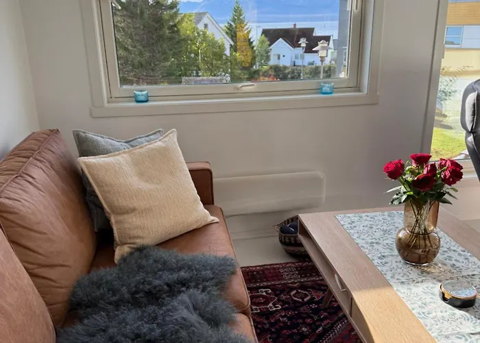 Arctic With Northern Light View * Tromsø